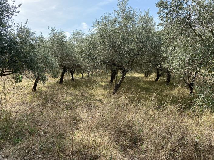 Image No.9-Plot for sale