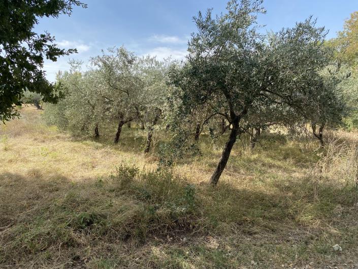 Image No.10-Plot for sale