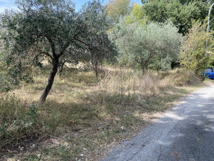 Image No.8-Plot for sale