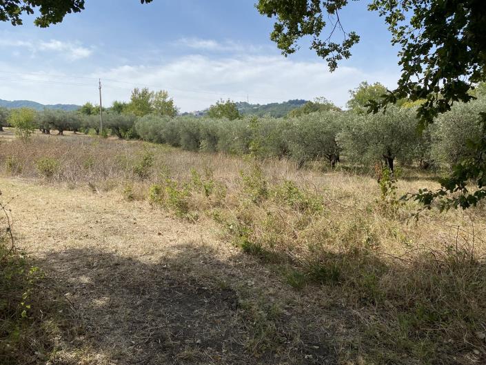 Image No.11-Plot for sale