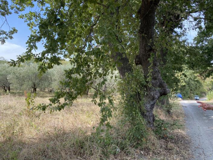 Image No.4-Plot for sale