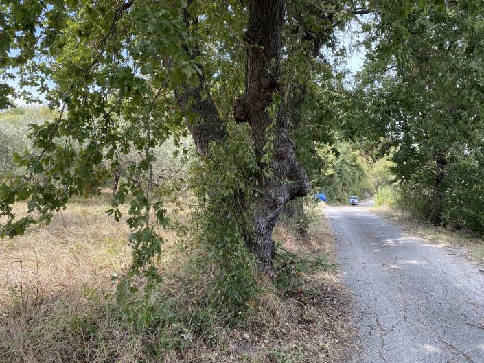 Image No.7-Plot for sale