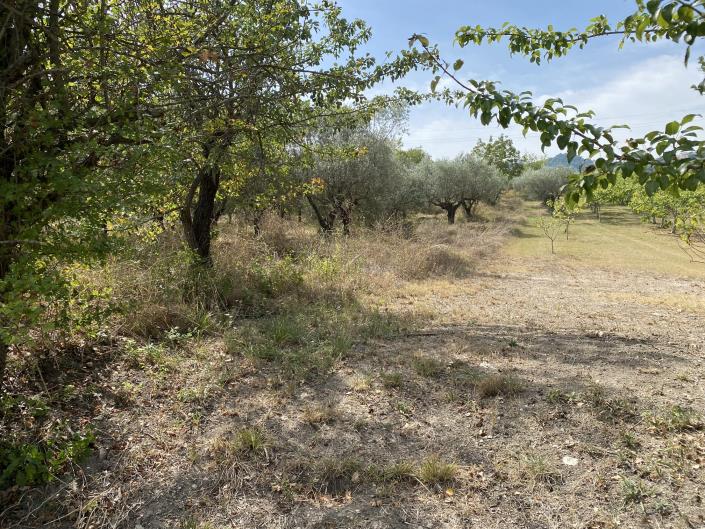 Image No.12-Plot for sale