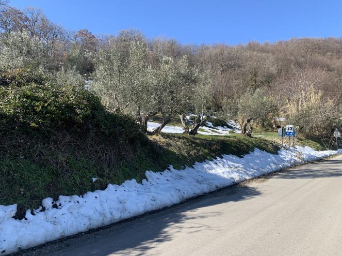 Image No.31-2 Bed House for sale