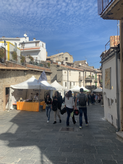 Image No.45-Maison de 3 chambres à vendre à Tornareccio