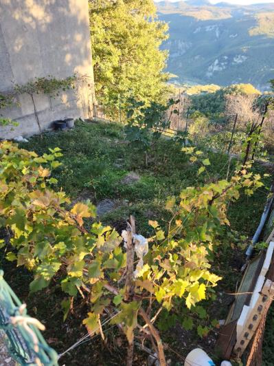 Image No.7-Maison à vendre à Civitaluparella