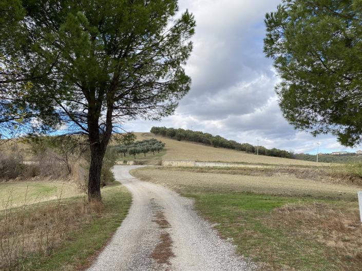 Image No.59-3 Bed House for sale