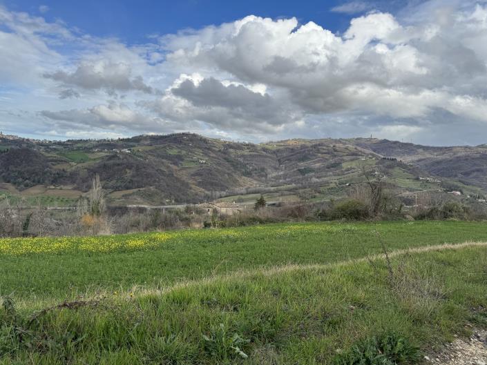 Image No.59-3 Bed Country House for sale