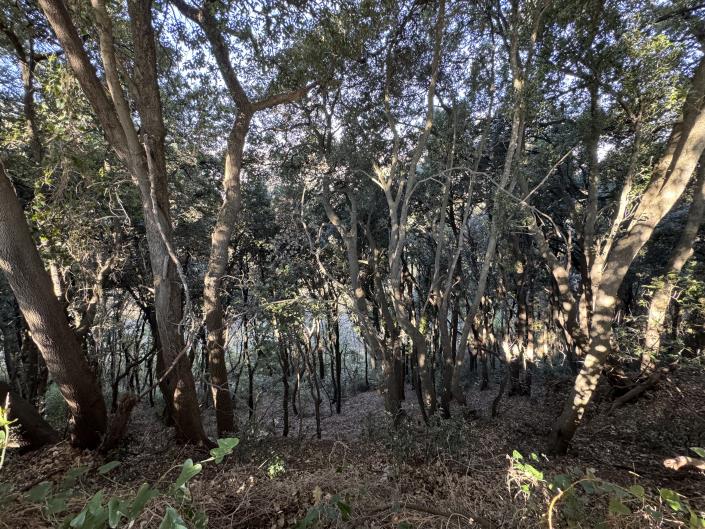 Image No.15-Land for sale