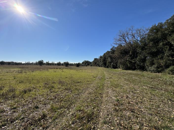 Image No.5-Land for sale