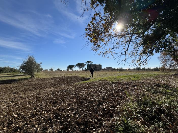 Image No.6-Land for sale