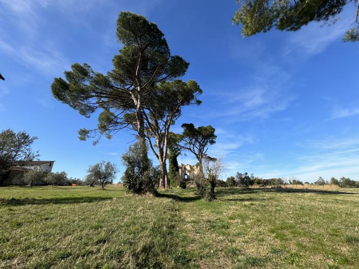 Image No.4-Land for sale