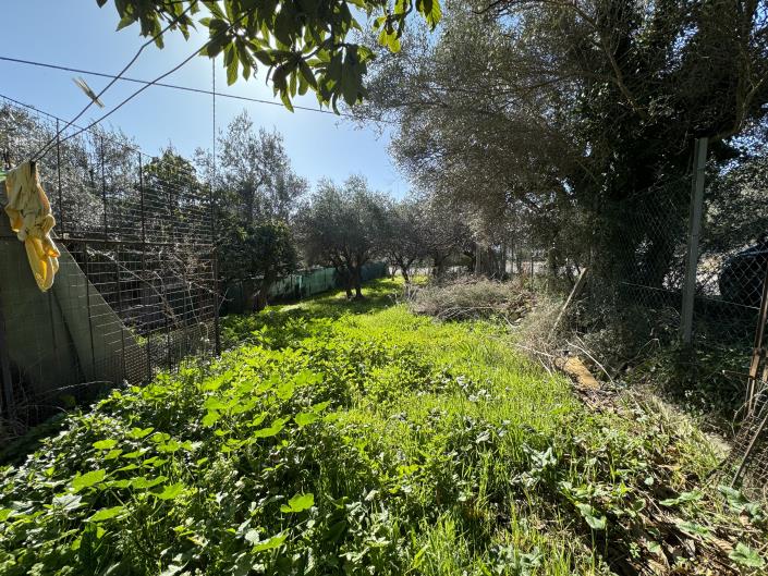 Image No.33-3 Bed House for sale