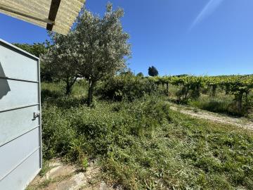 1 - Castél Frentano, Studio