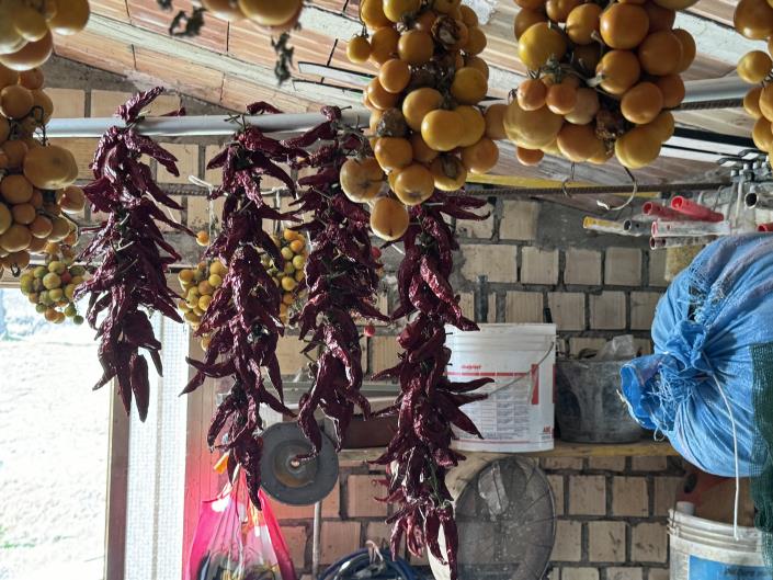 Image No.31-4 Bed Villa for sale