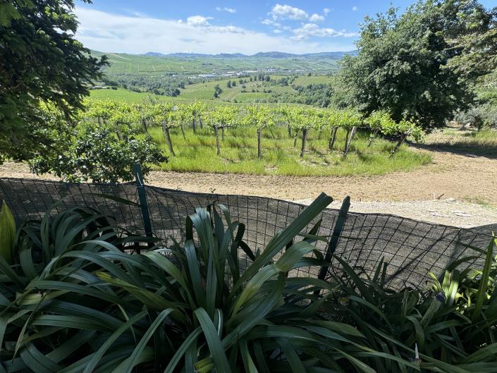 Image No.27-3 Bed Villa / Detached for sale