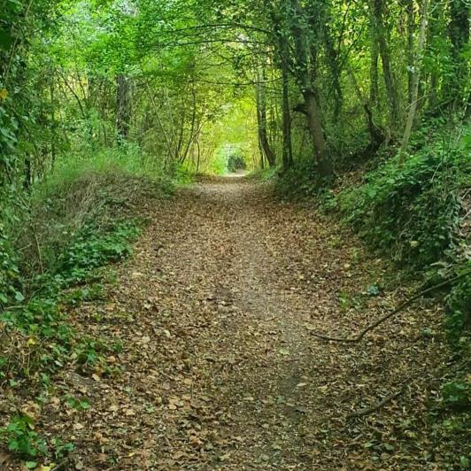 Image No.29-4 Bed Villa for sale