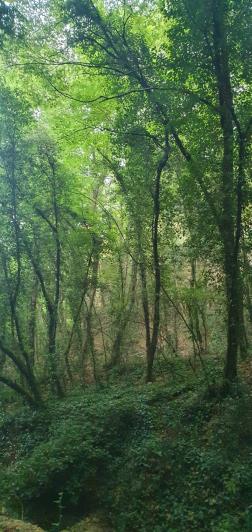 Image No.31-4 Bed Villa for sale