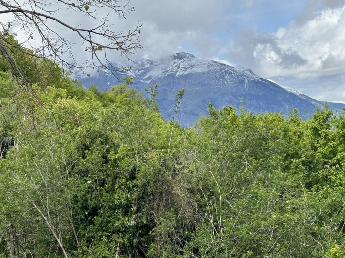 Image No.34-Semi-Detached for sale