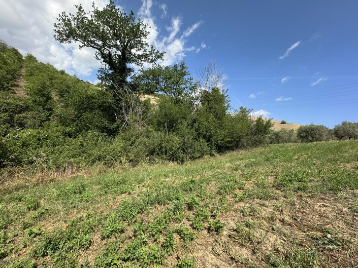 Image No.6-Grange à vendre à Castél Frentano