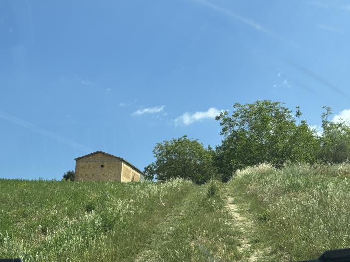 Image No.8-Grange à vendre à Castél Frentano