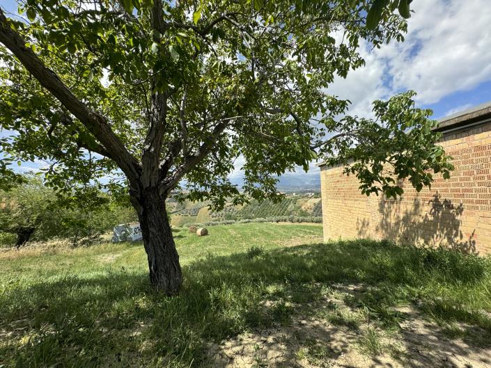 Image No.9-Grange à vendre à Castél Frentano