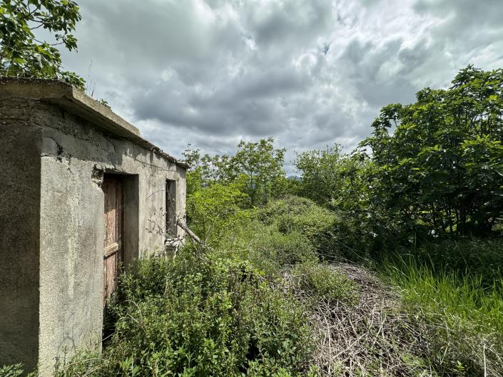 Image No.6-House for sale