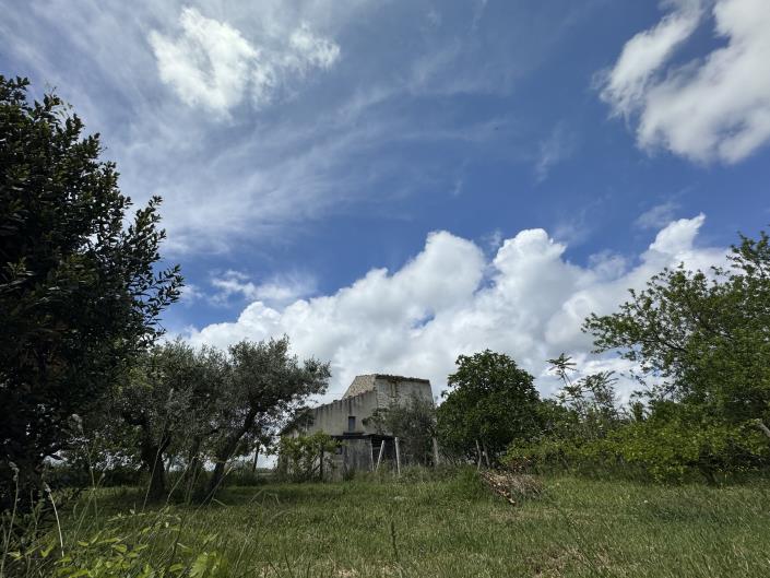 Image No.49-House for sale