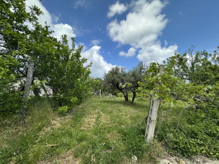 Image No.48-House for sale