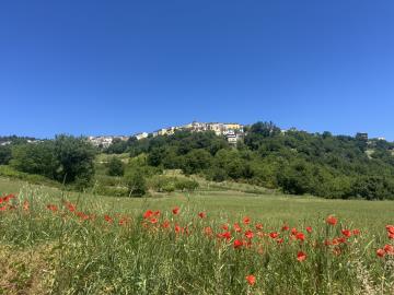 IMG_0826