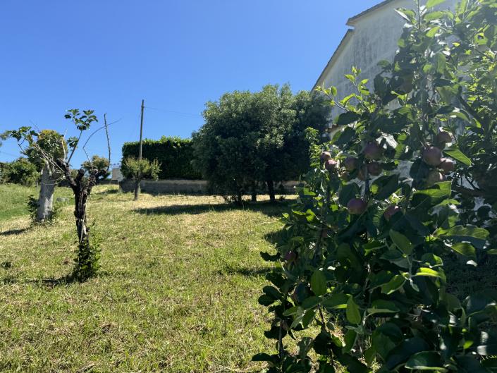 Image No.52-3 Bed Farmhouse for sale