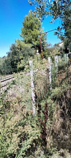 Image No.9-Maison à vendre à Castél Frentano