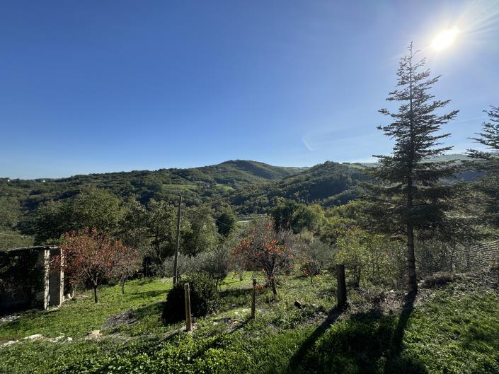 Image No.3-2 Bed House for sale