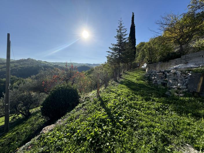 Image No.39-2 Bed House for sale