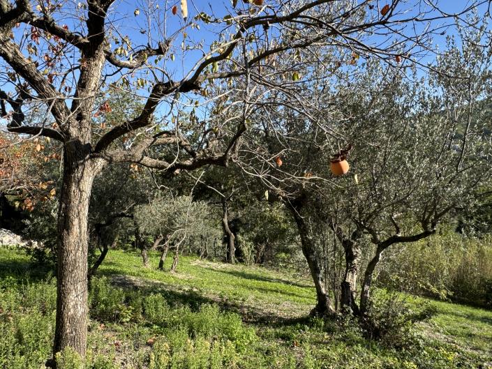 Image No.45-2 Bed House for sale