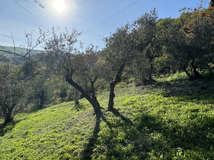 Image No.47-2 Bed House for sale