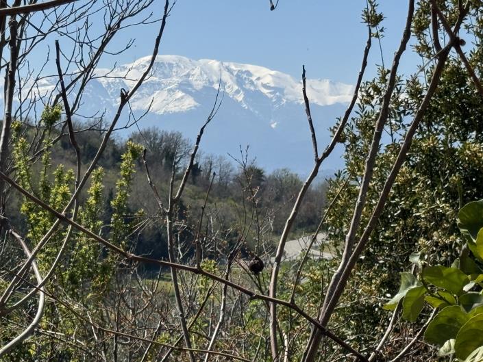 Image No.13-Villa for sale