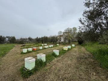 IMG_0861