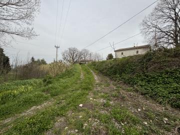 IMG_0864