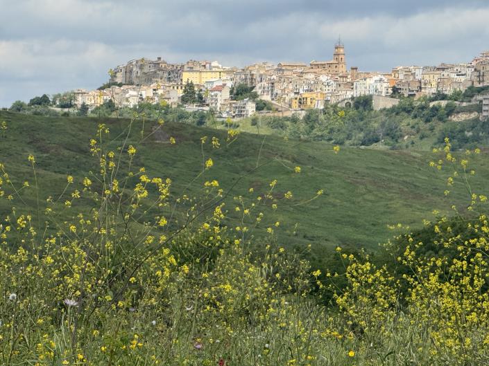 Image No.8-4 Bed Country Property for sale