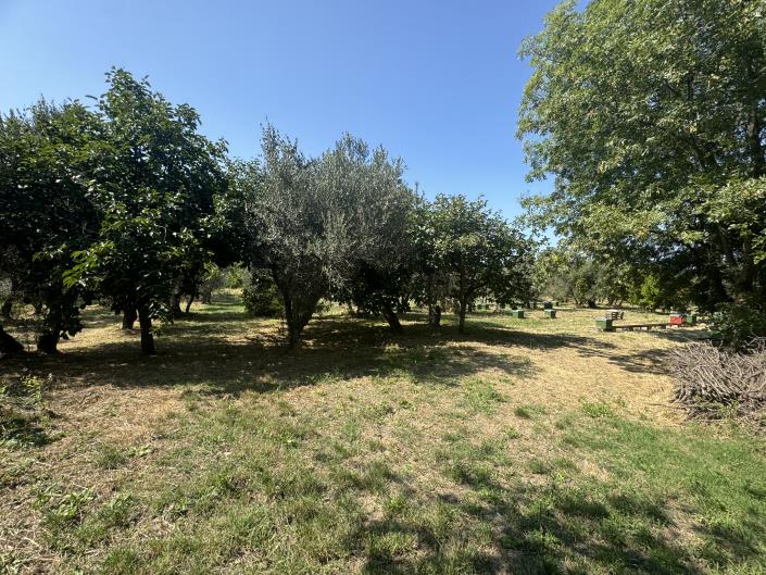 Image No.49-4 Bed Country Property for sale