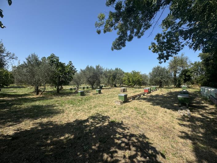 Image No.5-4 Bed Country Property for sale