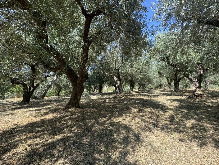 Image No.7-4 Bed Country Property for sale