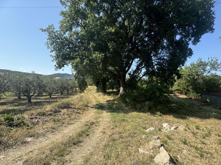 Image No.58-4 Bed Country Property for sale