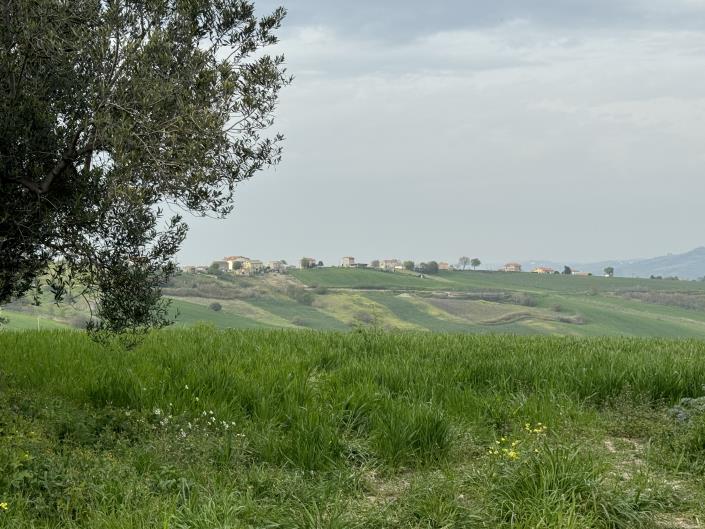 Image No.4-Maison de campagne à vendre à Atessa