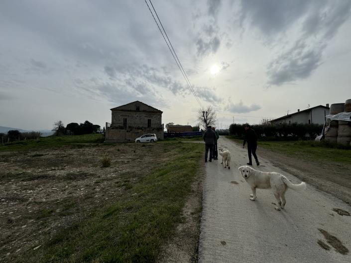 Image No.12-Maison de campagne à vendre à Atessa