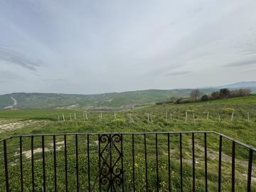 IMG_0820