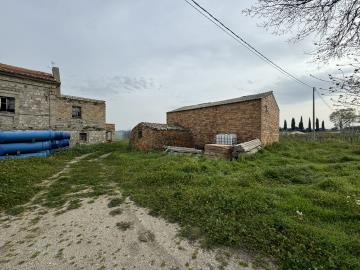 IMG_0828