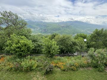 IMG_2701