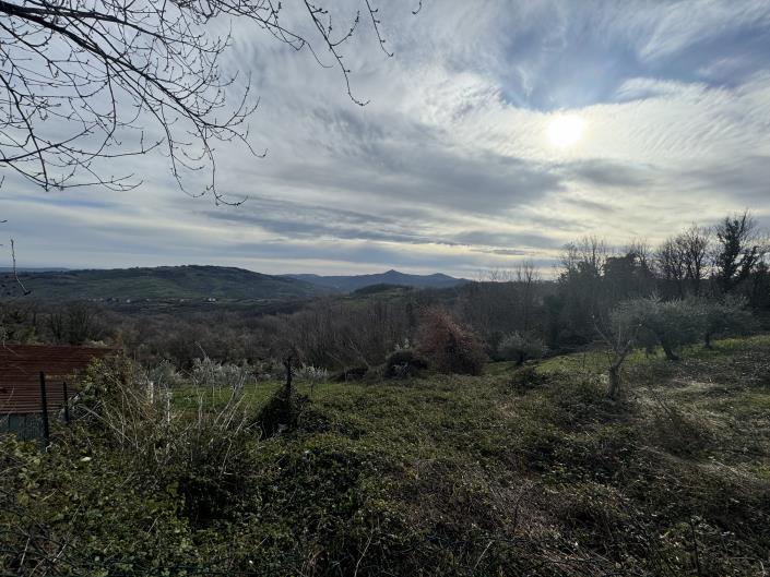 Image No.7-5 Bed Country House for sale